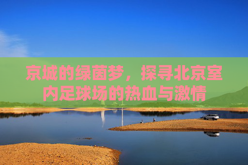 京城的绿茵梦，探寻北京室内足球场的热血与激情