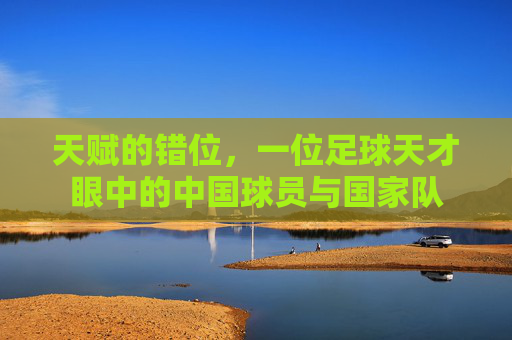 天赋的错位，一位足球天才眼中的中国球员与国家队