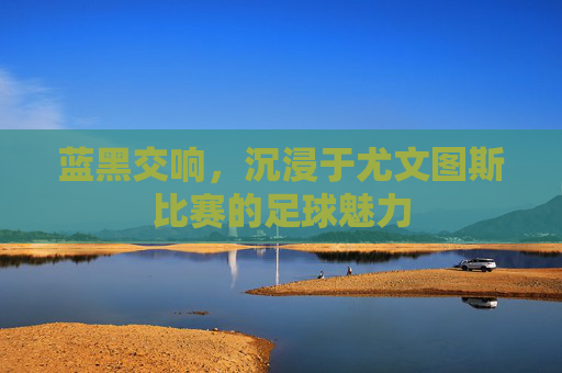 蓝黑交响,沉浸于尤文图斯比赛的足球魅力