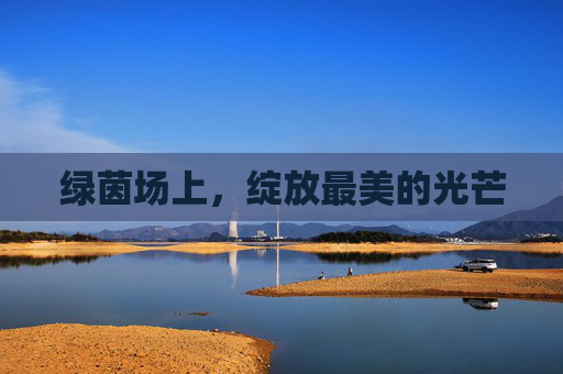 绿茵场上,绽放最美的光芒