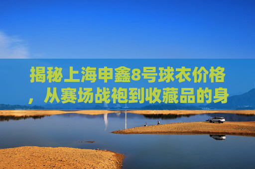 揭秘上海申鑫8号球衣价格，从赛场战袍到收藏品的身价几何？