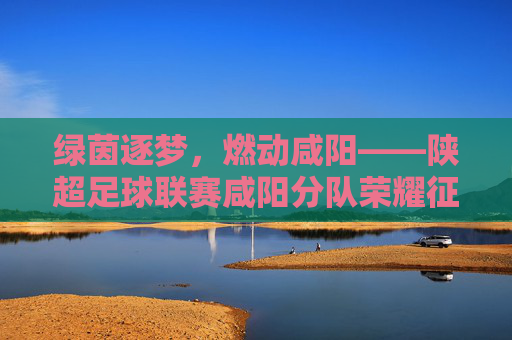 绿茵逐梦,燃动咸阳——陕超足球联赛咸阳分队荣耀征途