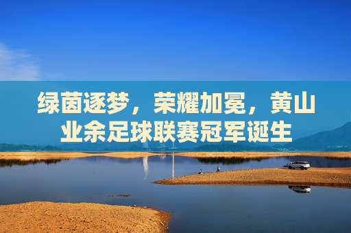 绿茵逐梦，荣耀加冕，黄山业余足球联赛冠军诞生