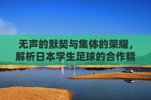 无声的默契与集体的荣耀,解析日本学生足球的合作精神