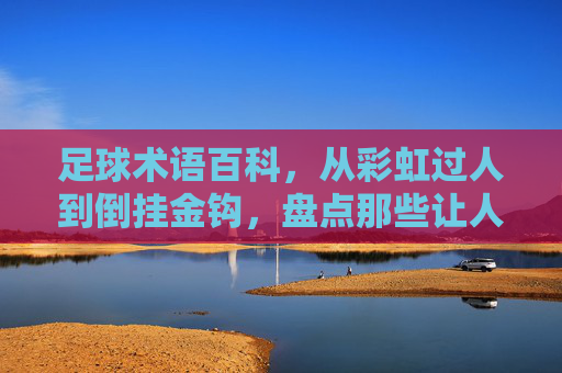 足球术语百科，从彩虹过人到倒挂金钩，盘点那些让人热血沸腾的球场技能