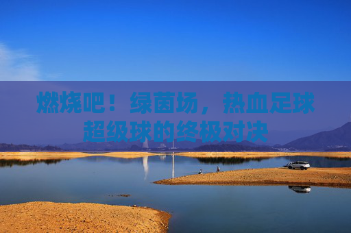 燃烧吧！绿茵场，热血足球超级球的终极对决