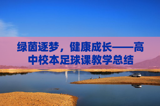 绿茵逐梦,健康成长——高中校本足球课教学总结