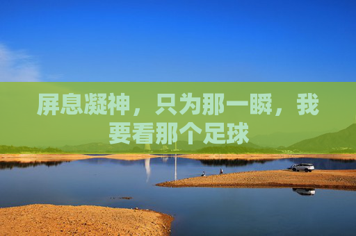 屏息凝神，只为那一瞬，我要看那个足球