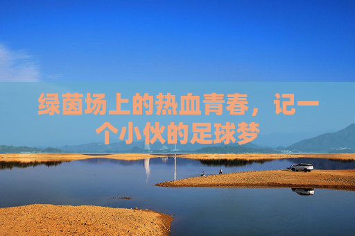 绿茵场上的热血青春，记一个小伙的足球梦