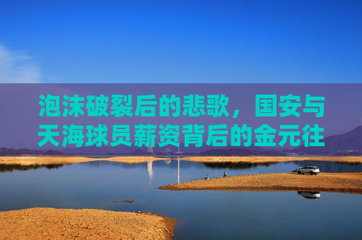 泡沫破裂后的悲歌，国安与天海球员薪资背后的金元往事