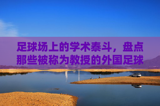 足球场上的学术泰斗,盘点那些被称为教授的外国足球名宿
