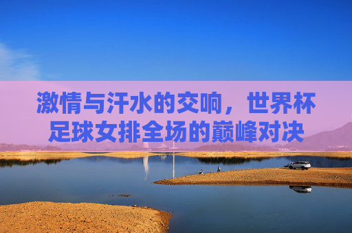 激情与汗水的交响，世界杯足球女排全场的巅峰对决