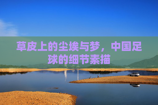 草皮上的尘埃与梦,中国足球的细节素描