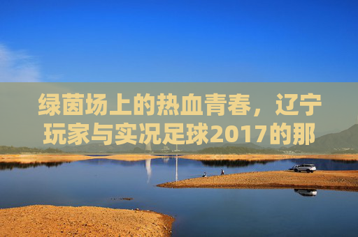 绿茵场上的热血青春,辽宁玩家与实况足球2017的那些日子