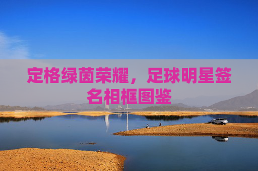 定格绿茵荣耀，足球明星签名相框图鉴