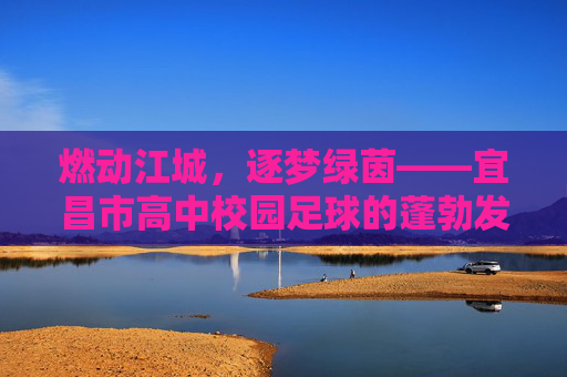 燃动江城，逐梦绿茵——宜昌市高中校园足球的蓬勃发展