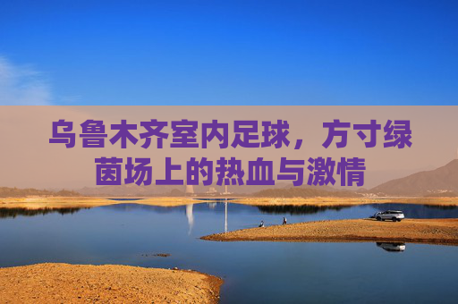 乌鲁木齐室内足球,方寸绿茵场上的热血与激情