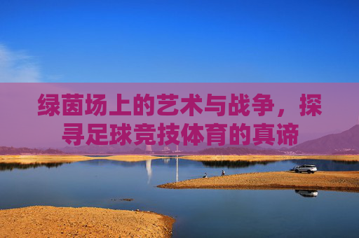 绿茵场上的艺术与战争,探寻足球竞技体育的真谛