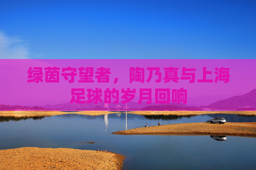 绿茵守望者,陶乃真与上海足球的岁月回响