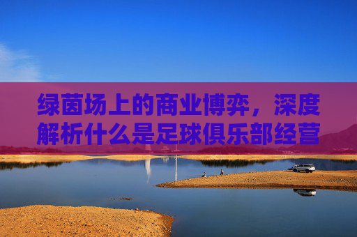 绿茵场上的商业博弈,深度解析什么是足球俱乐部经营