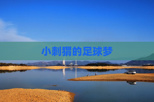 小刺猬的足球梦
