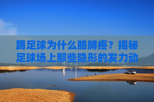 踢足球为什么胳膊疼?揭秘足球场上那些隐形的发力动作
