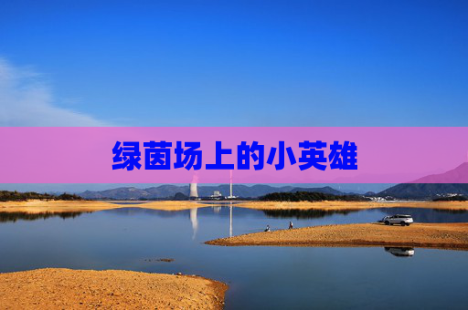 绿茵场上的小英雄