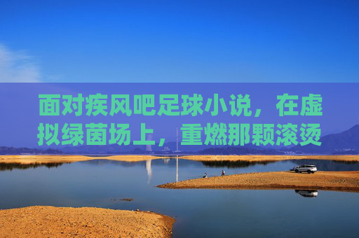 面对疾风吧足球小说，在虚拟绿茵场上，重燃那颗滚烫的心