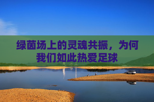 绿茵场上的灵魂共振，为何我们如此热爱足球
