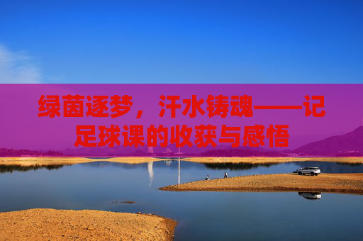 绿茵逐梦，汗水铸魂——记足球课的收获与感悟