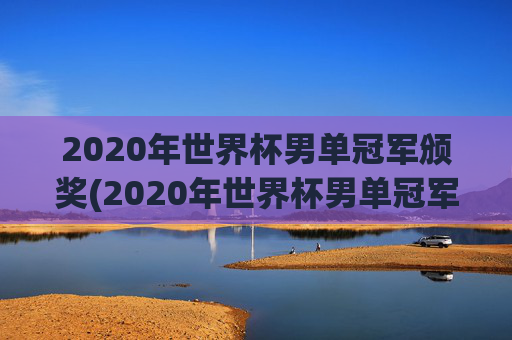 2020年世界杯男单冠军颁奖(2020年世界杯男单冠军颁奖视频)