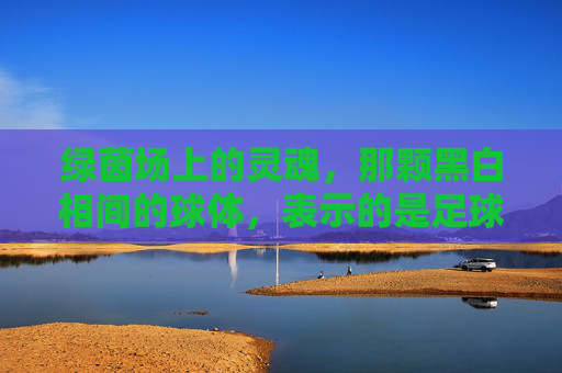 绿茵场上的灵魂,那颗黑白相间的球体,表示的是足球
