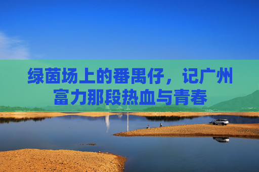 绿茵场上的番禺仔,记广州富力那段热血与青春