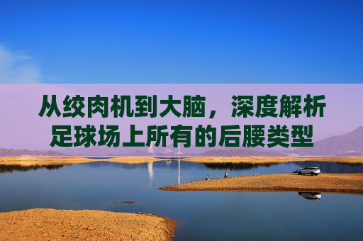从绞肉机到大脑，深度解析足球场上所有的后腰类型