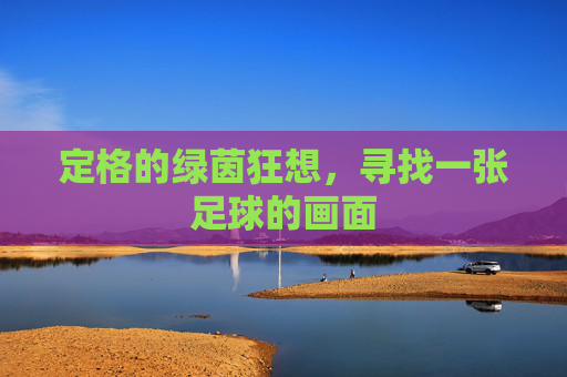 定格的绿茵狂想,寻找一张足球的画面