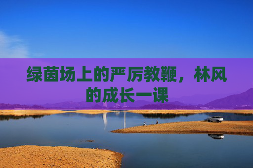 绿茵场上的严厉教鞭，林风的成长一课