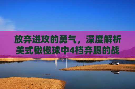 放弃进攻的勇气,深度解析美式橄榄球中4档弃踢的战术博弈与生存法则