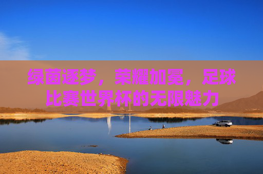 绿茵逐梦，荣耀加冕，足球比赛世界杯的无限魅力