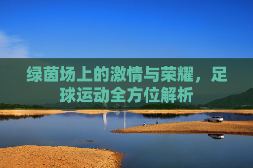 绿茵场上的激情与荣耀，足球运动全方位解析