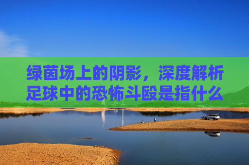 绿茵场上的阴影，深度解析足球中的恐怖斗殴是指什么