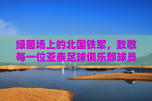 绿茵场上的北国铁军，致敬每一位亚泰足球俱乐部球员
