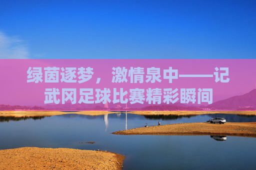 绿茵逐梦，激情泉中——记武冈足球比赛精彩瞬间