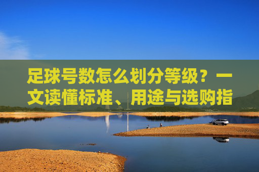 足球号数怎么划分等级?一文读懂标准、用途与选购指南