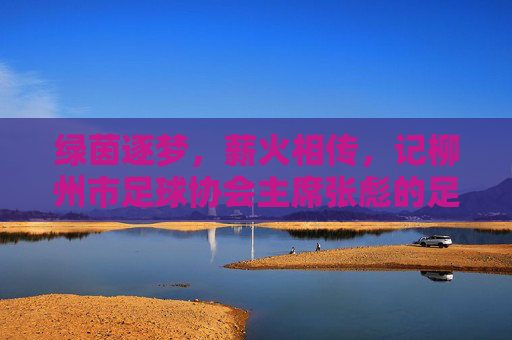 绿茵逐梦，薪火相传，记柳州市足球协会主席张彪的足球情怀