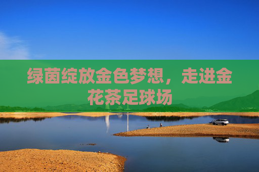 绿茵绽放金色梦想,走进金花茶足球场