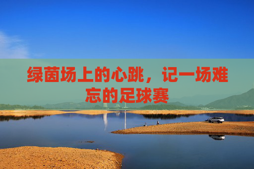 绿茵场上的心跳,记一场难忘的足球赛