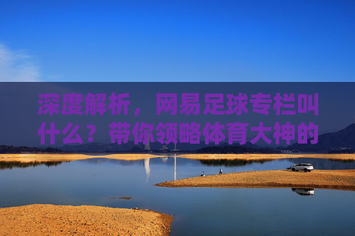 深度解析,网易足球专栏叫什么?带你领略体育大神的独家球评