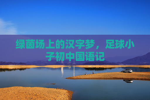 绿茵场上的汉字梦，足球小子初中国语记