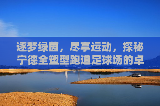逐梦绿茵,尽享运动,探秘宁德全塑型跑道足球场的卓越体验
