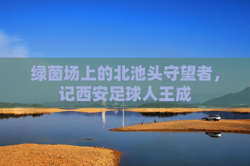 绿茵场上的北池头守望者,记西安足球人王成